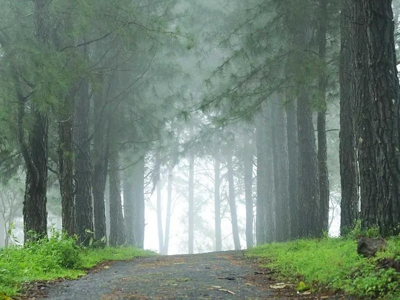 Apartment Misty Hills Stays Vagamon