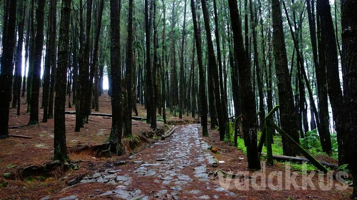 Misty Hills Stays Vagamon 0*,